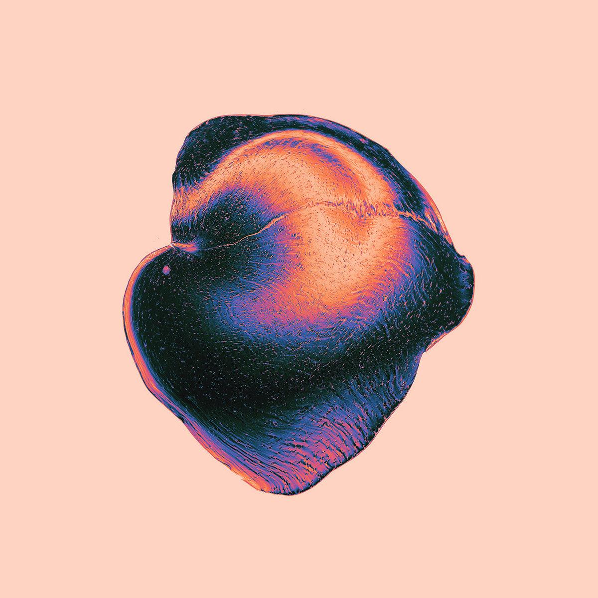 The artwork for the album Pax Aurora by Nadia Struiwigh