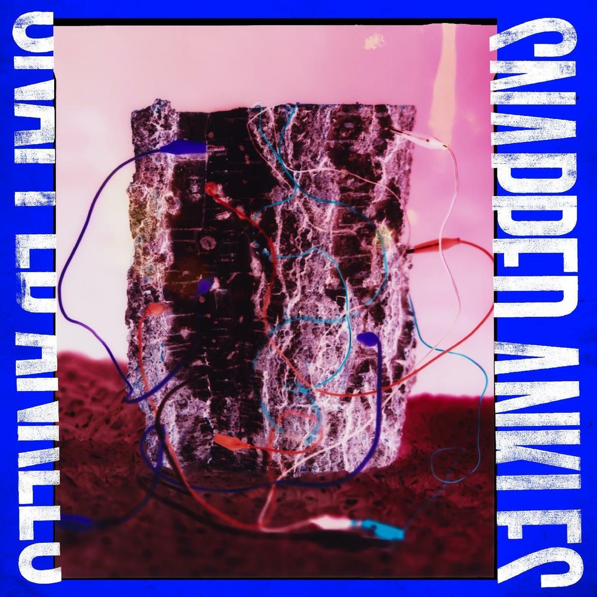 The artwork for the album Forest of Your Problems by Snapped Ankles