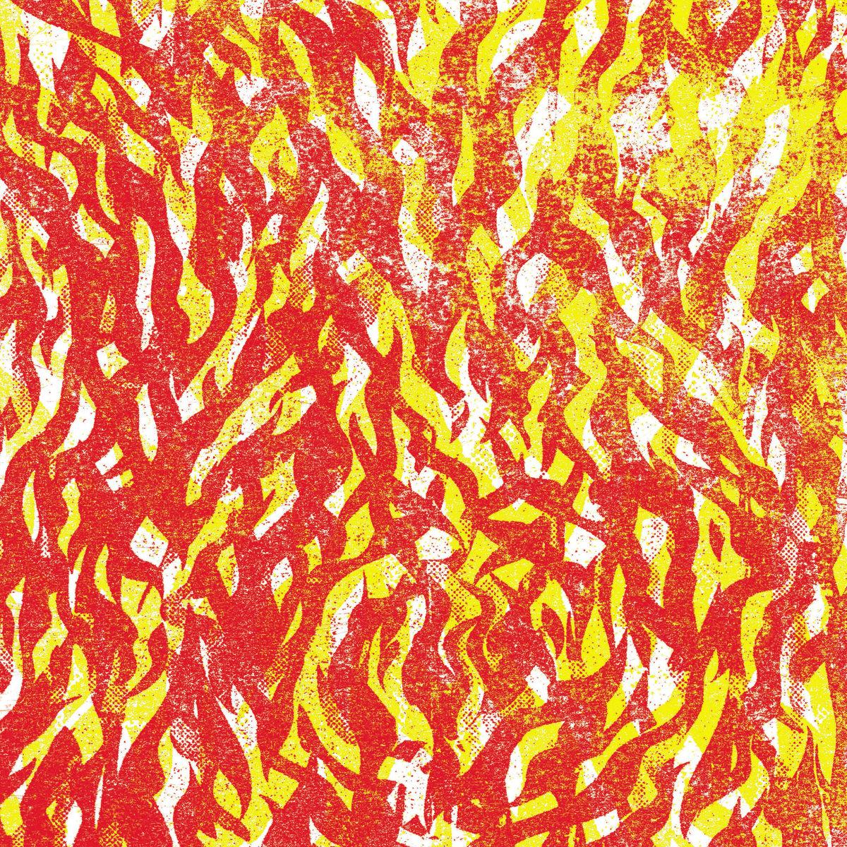 The artwork for the album Fire by The Bug