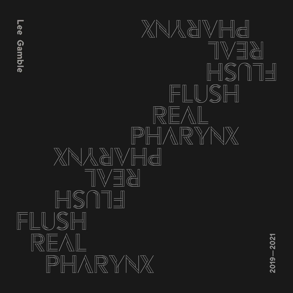 The artwork for the album Flush Real Pharynx 2019-2021 by Lee Gamble