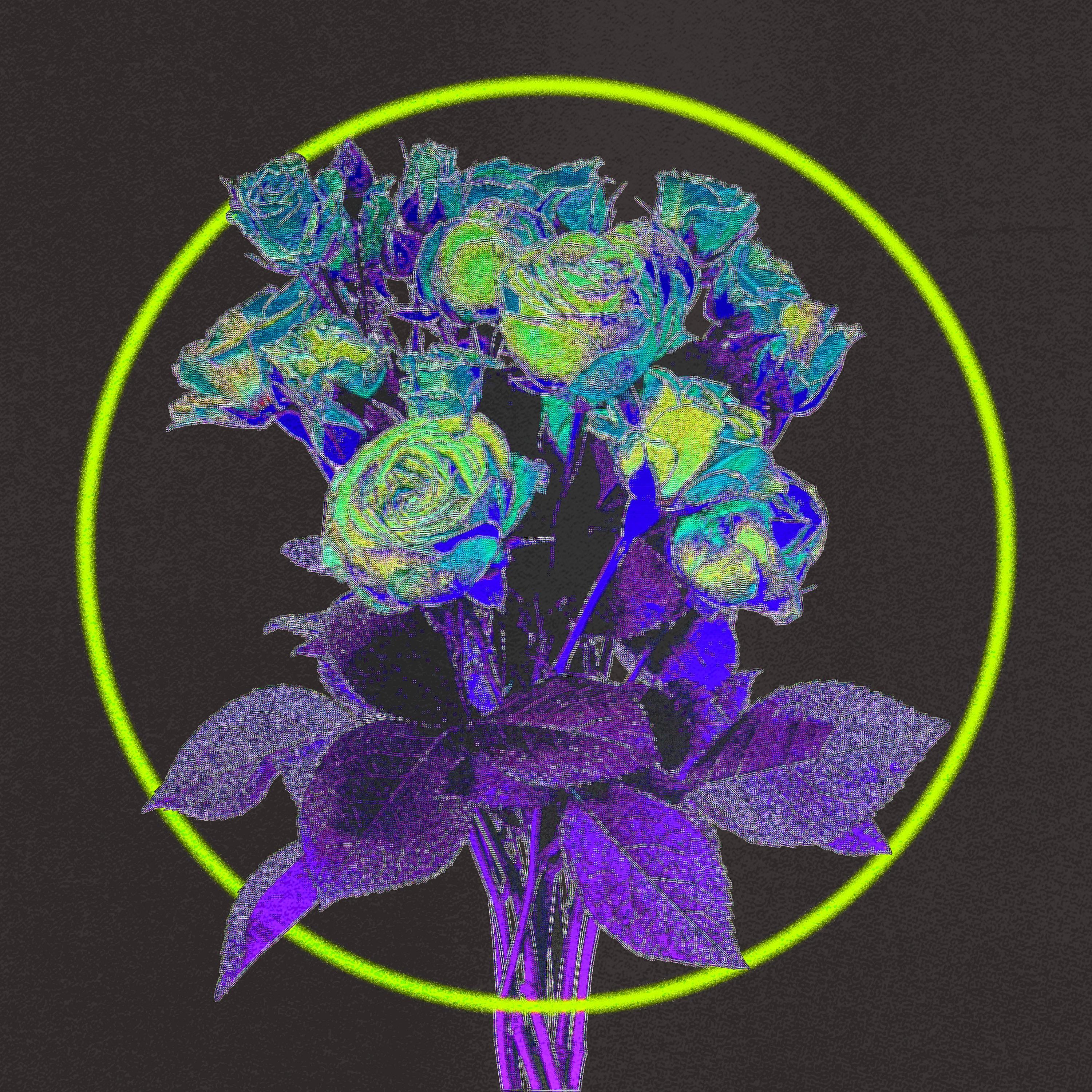 The artwork for the EP Dreaming of a Disco by Baltra