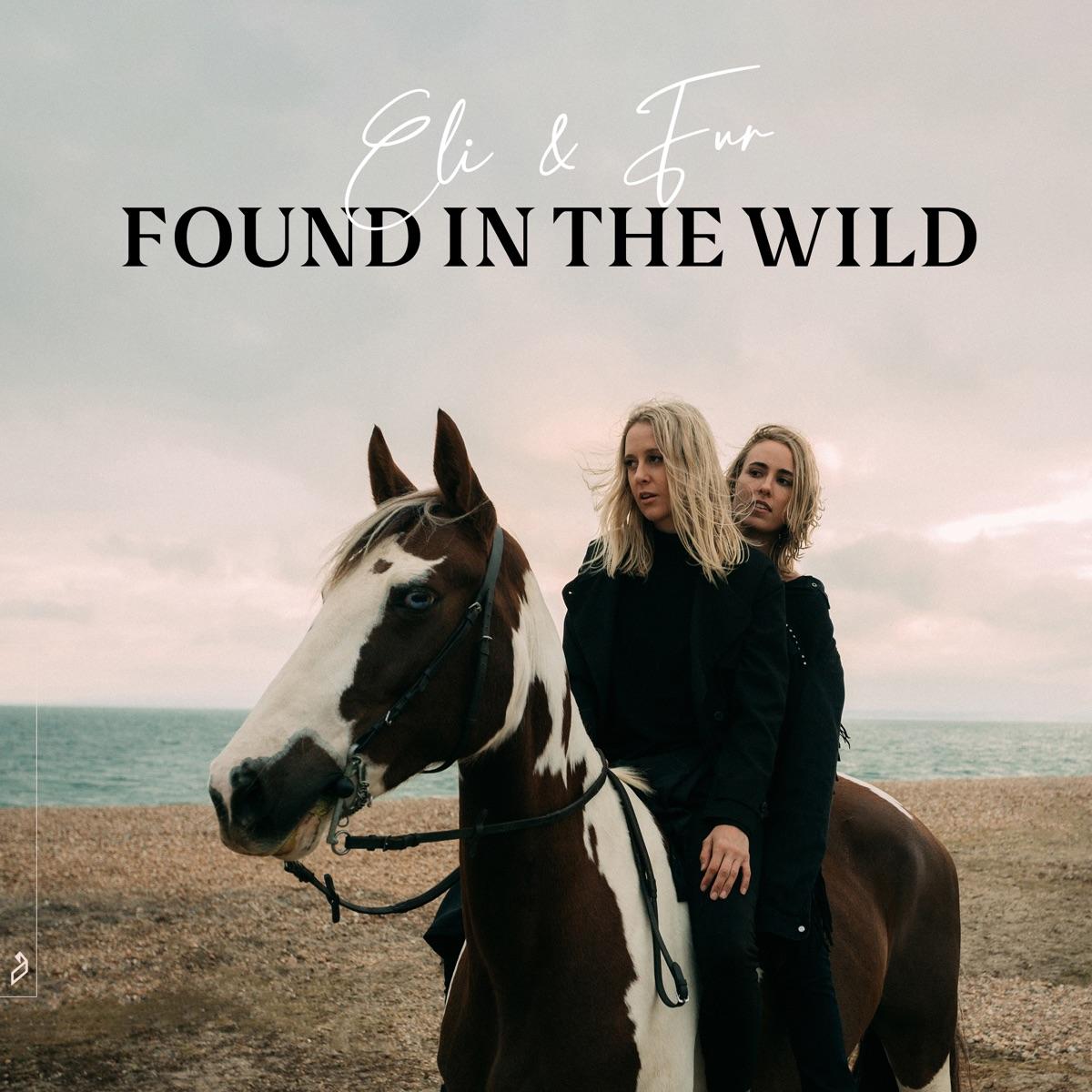 The artwork for the album Found In The Wild by Eli & Fur