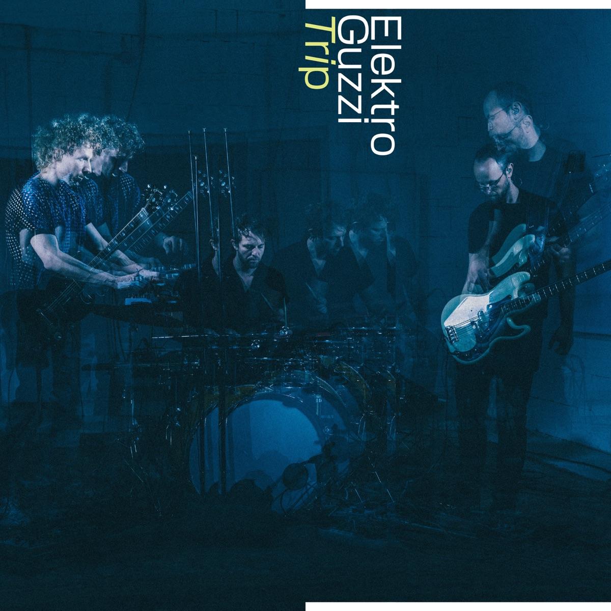 The artwork for the album TRIP by Elektro Guzzi