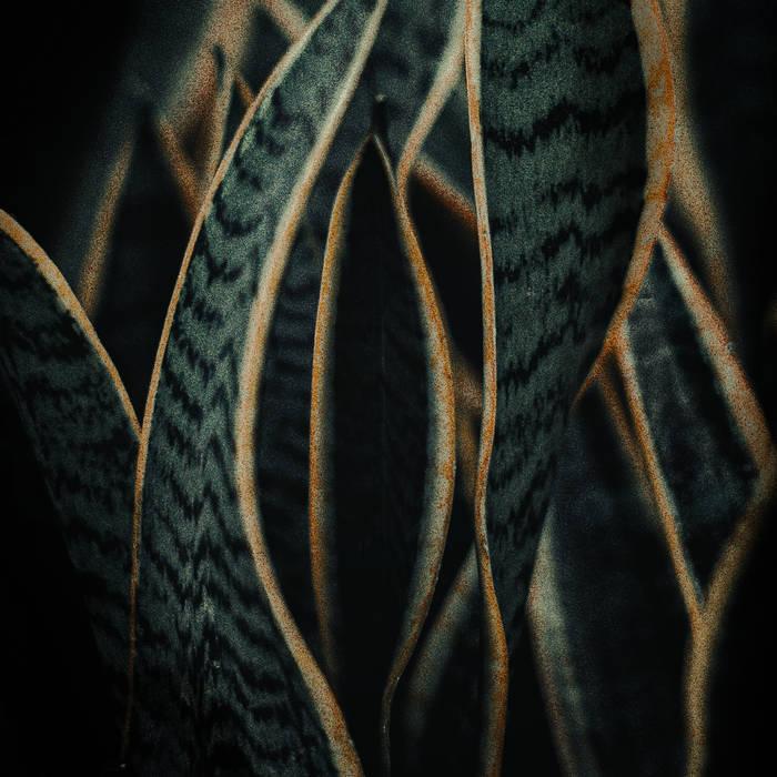 The artwork for the single Unfold by Fejká