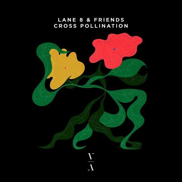 The artwork for the album Cross Pollination by Lane 8 & Friends