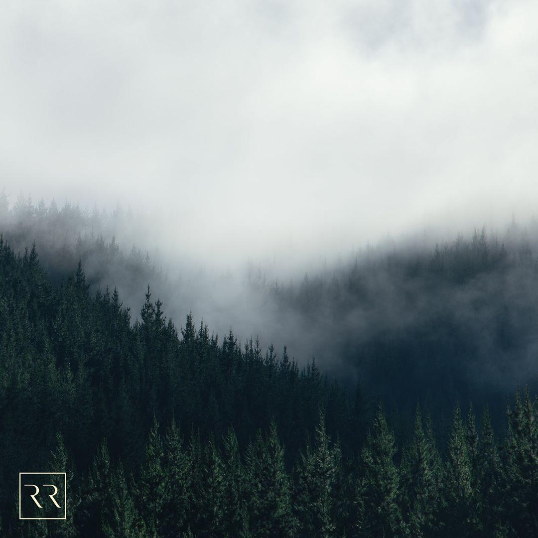 The artwork for the single Sør by pølaroit